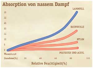 Absorption von nassem Dampf